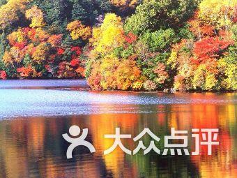 用人单位变更工作地点需要与劳动者协商一致吗?
