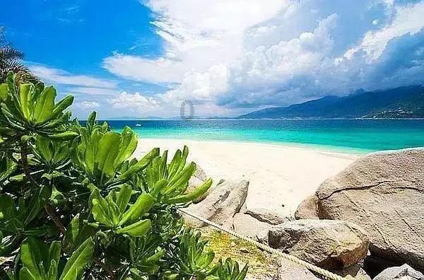 美妙的夏天